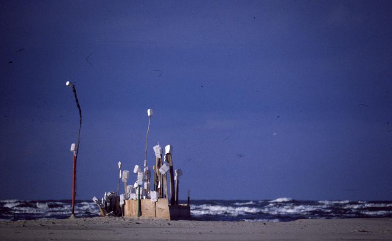Borkum2005-06